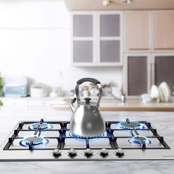 Arebos Table de cuisson à gaz 5 feux | Cuisinière à gaz en acier inoxydable avec protection automatique contre les flammes | Gaz naturel ou propane