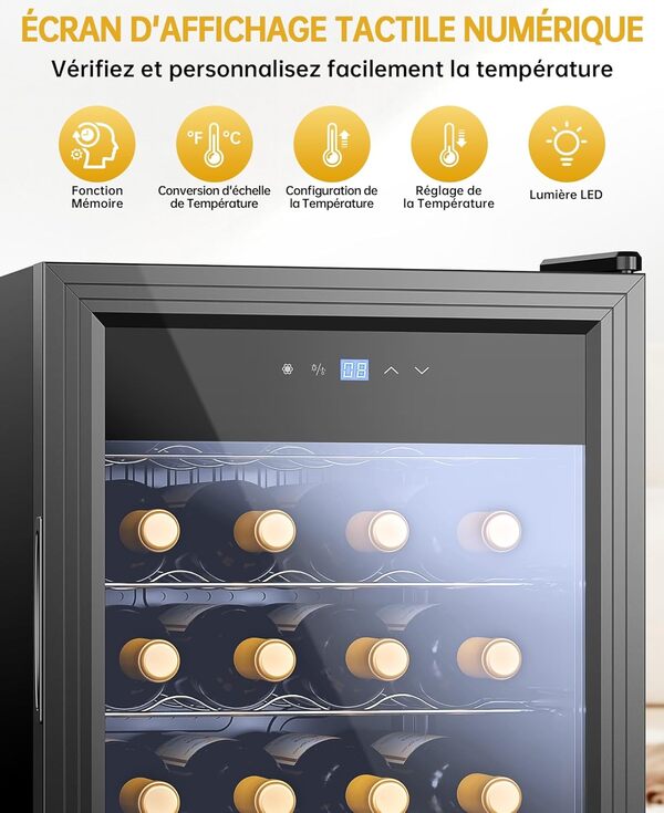 WIE Cave à Vin, Réfrigérateur à Vin en Verre, Cave a Vin Encastrable, Cave a Vin Vieillissement, Bar Intérieur/Extérieur, Frigo Vin, Protection UV, 5-18°C, 28 Bouteilles [Classe énergétique G]